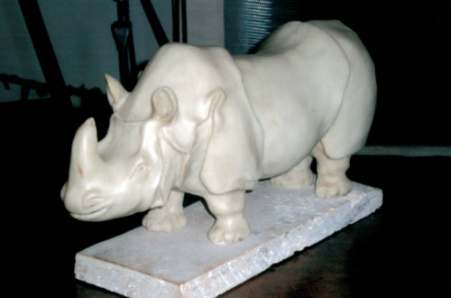 Rhinocéros Blanc